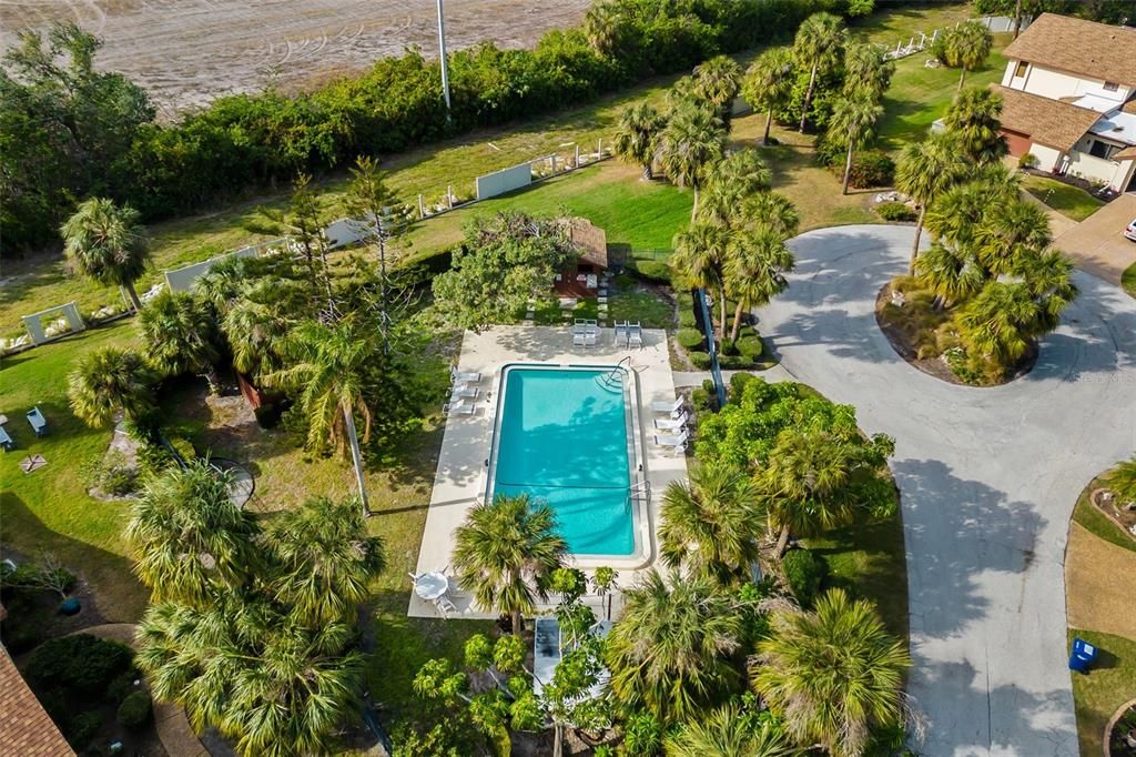 Aerial of community pool