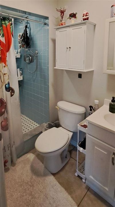 Lower level bathroom