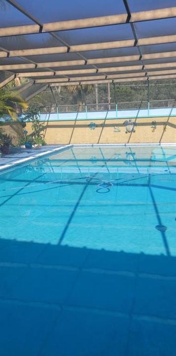 20 X 40 POOL