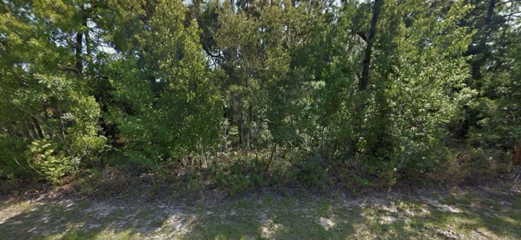 For Sale: $38,900 (0.54 acres)