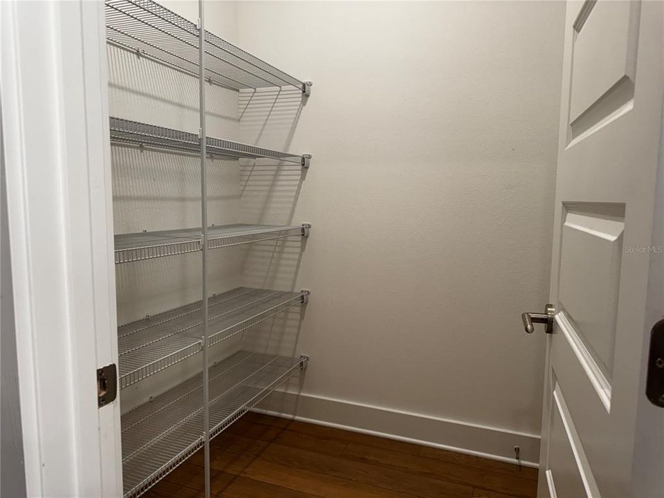 Spacious Walk in Pantry