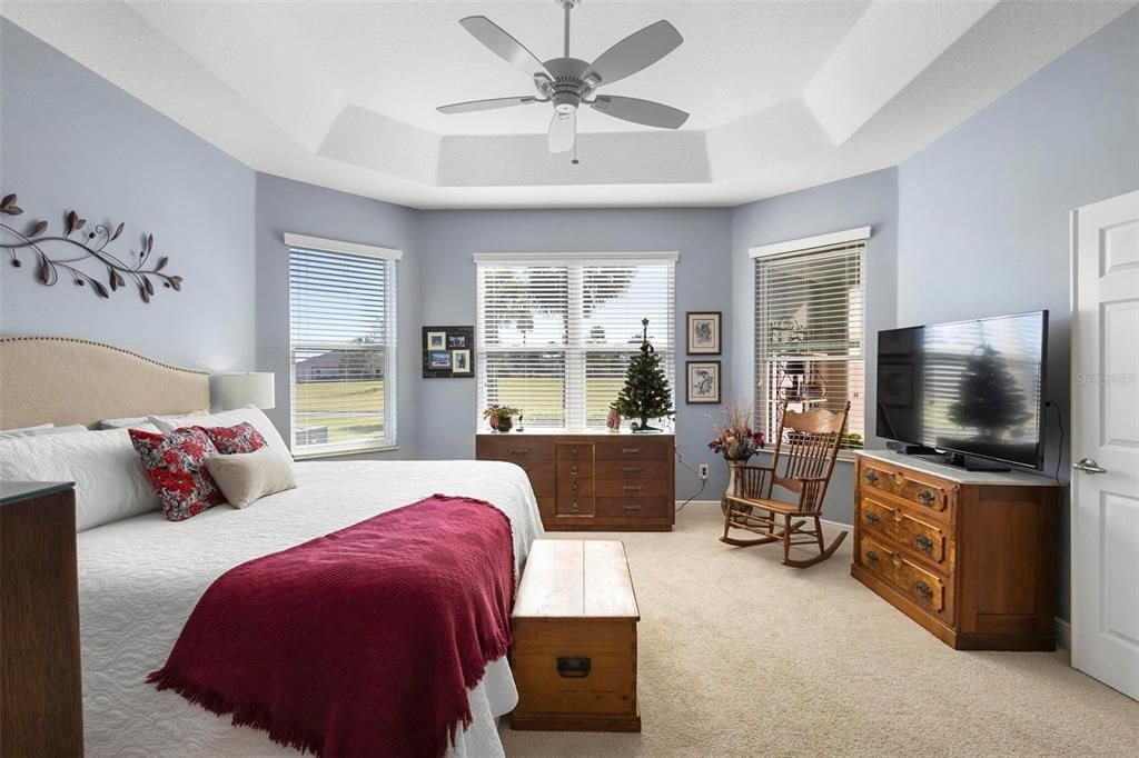 Primary Bedroom with tray ceiling and view of Park