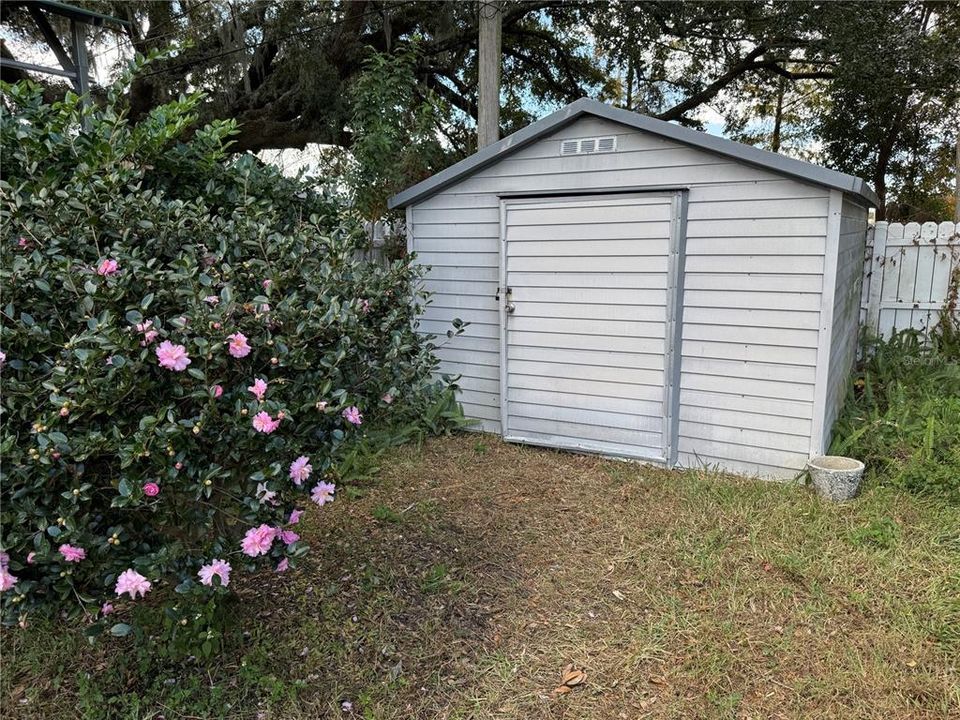 Storage Shed