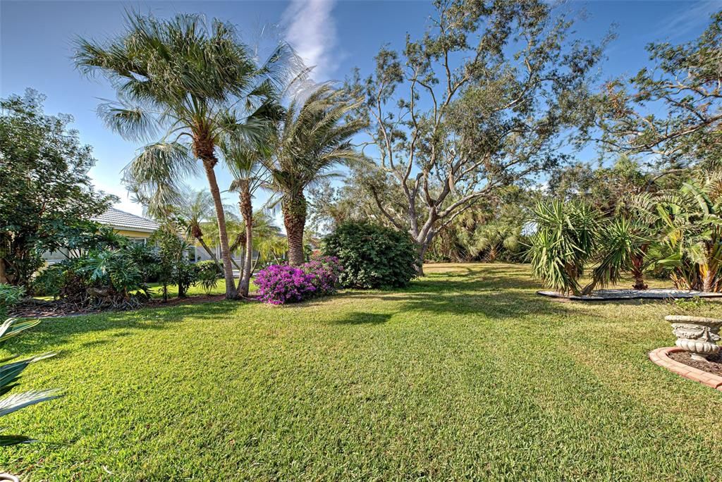 View from the back of the home - rare, expansive green space area with mature landscaping and tropical vegetation.