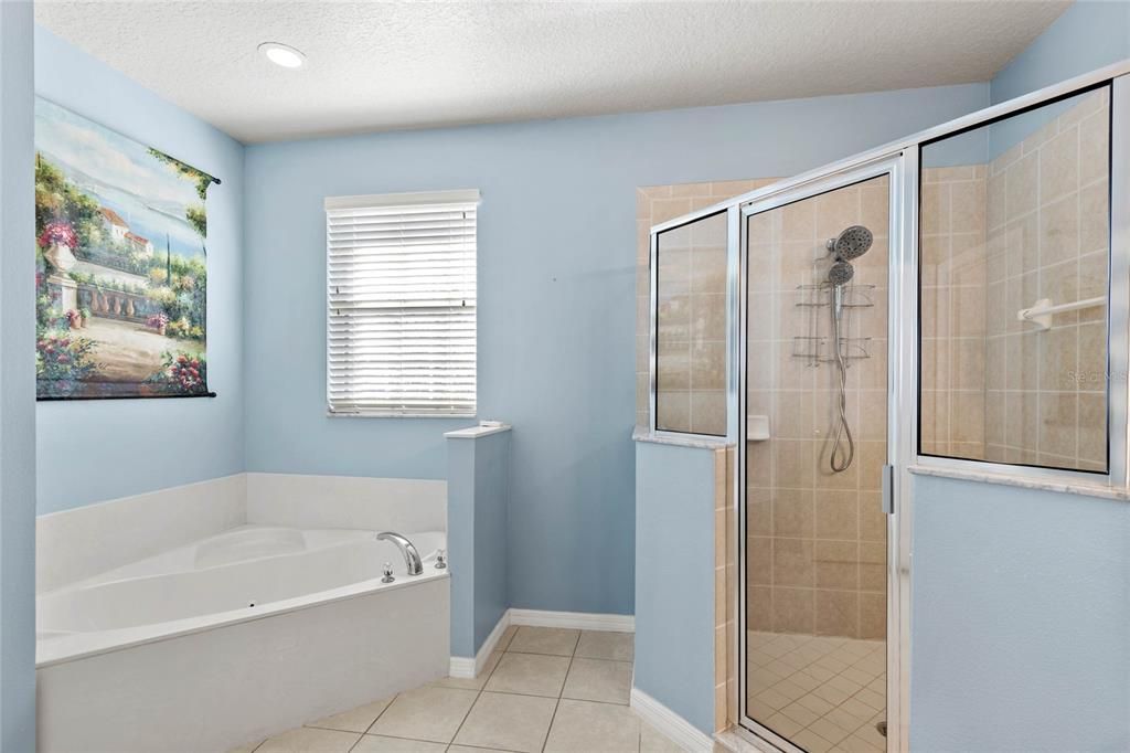 Master Bathroom with soaker tub