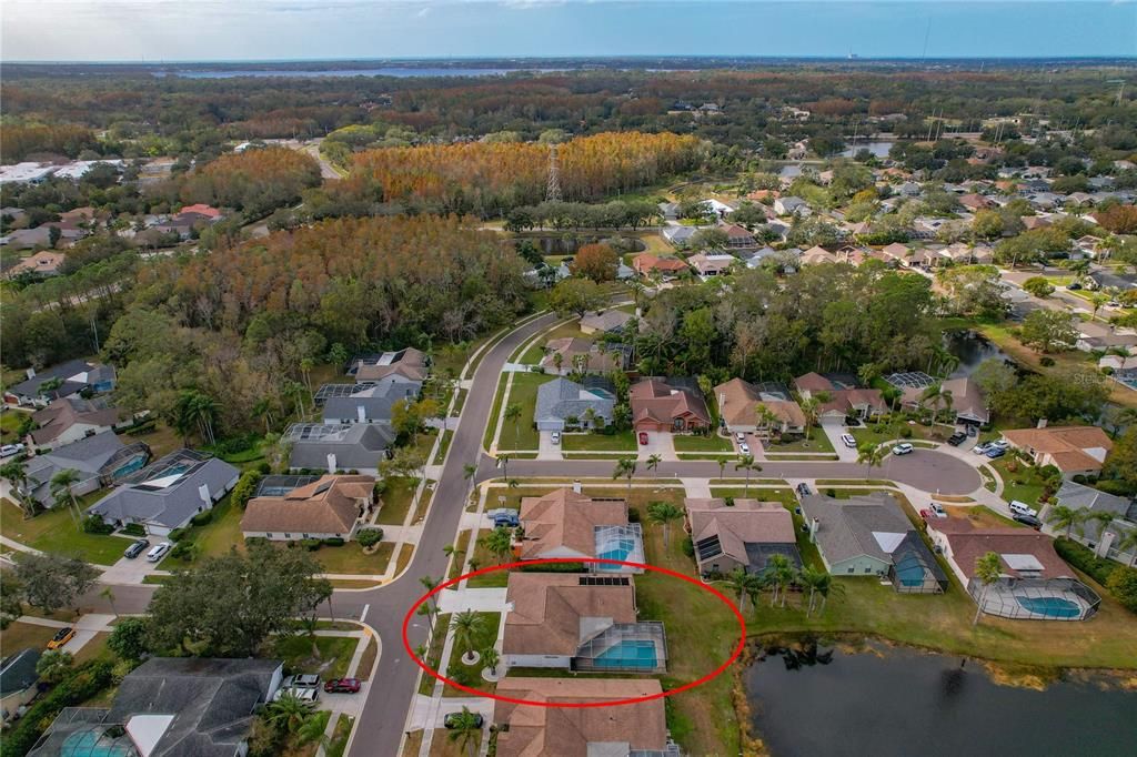 Community Aerial View