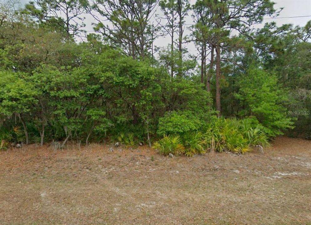 最近售出: $33,500 (1.15 acres)