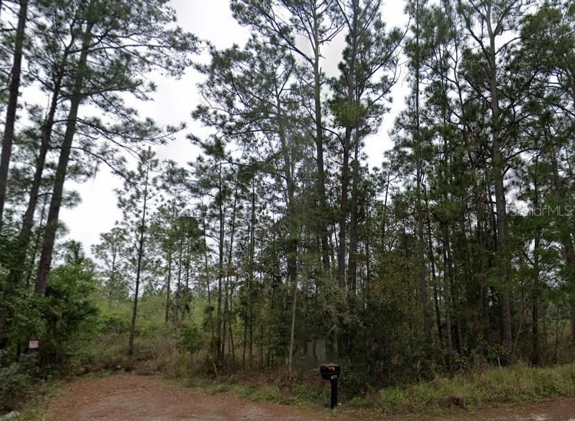 En Venta: $29,999 (1.22 acres)