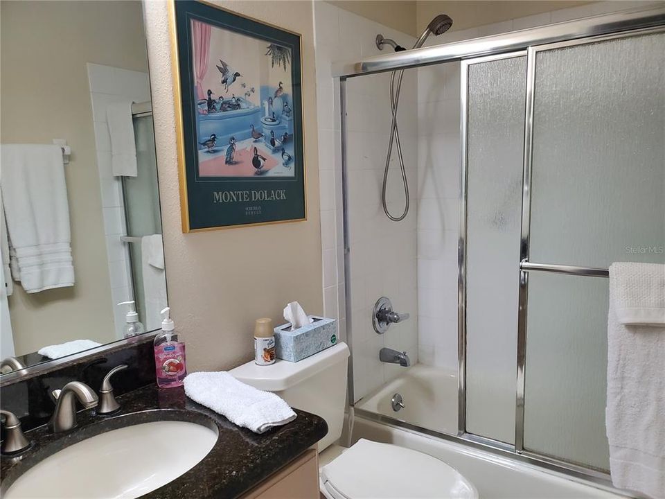 Guest bathroom