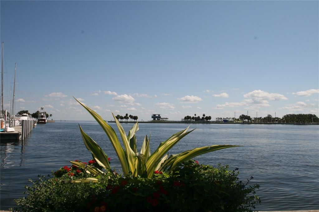 Downtown Waterfront Park looking out to the Pier