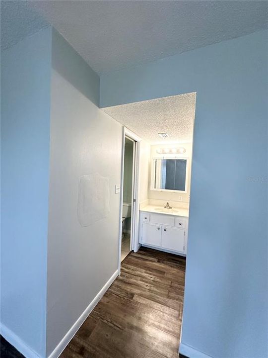 Primary Bathroom Vanity Area