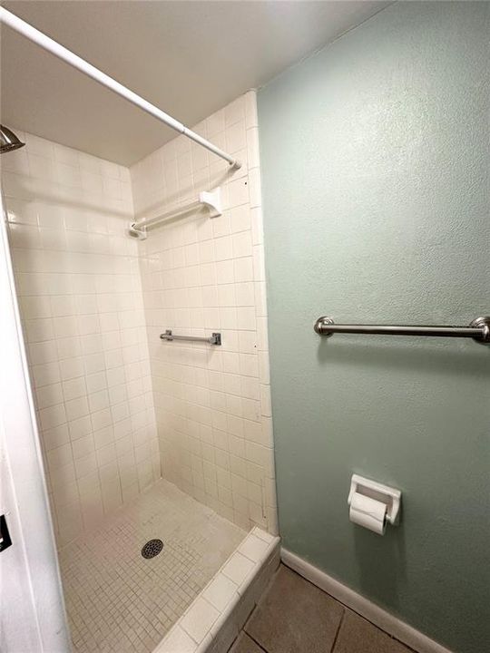 Primary Bathroom Shower