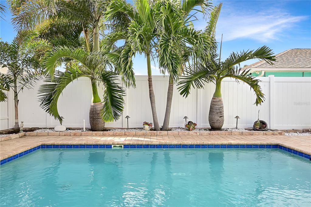 In-ground heated saltwater pool.