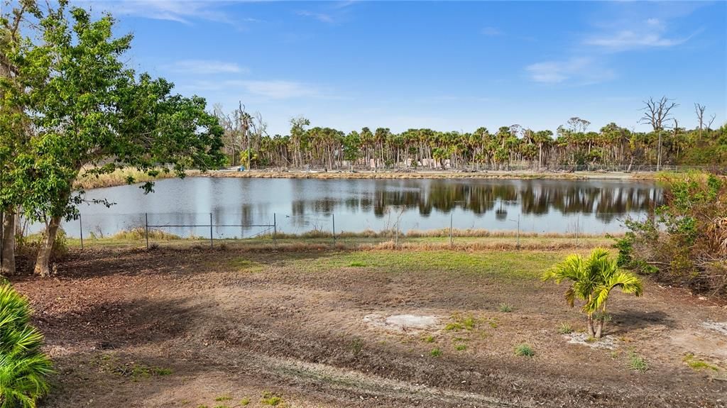 THE POND ATTRACTS ALL TYPES OF WILDLIFE.  DUE TO RECENT STORMS THE AREA AROUND THE POND IS IN THE PROCESS OF BEING CLEANED UP