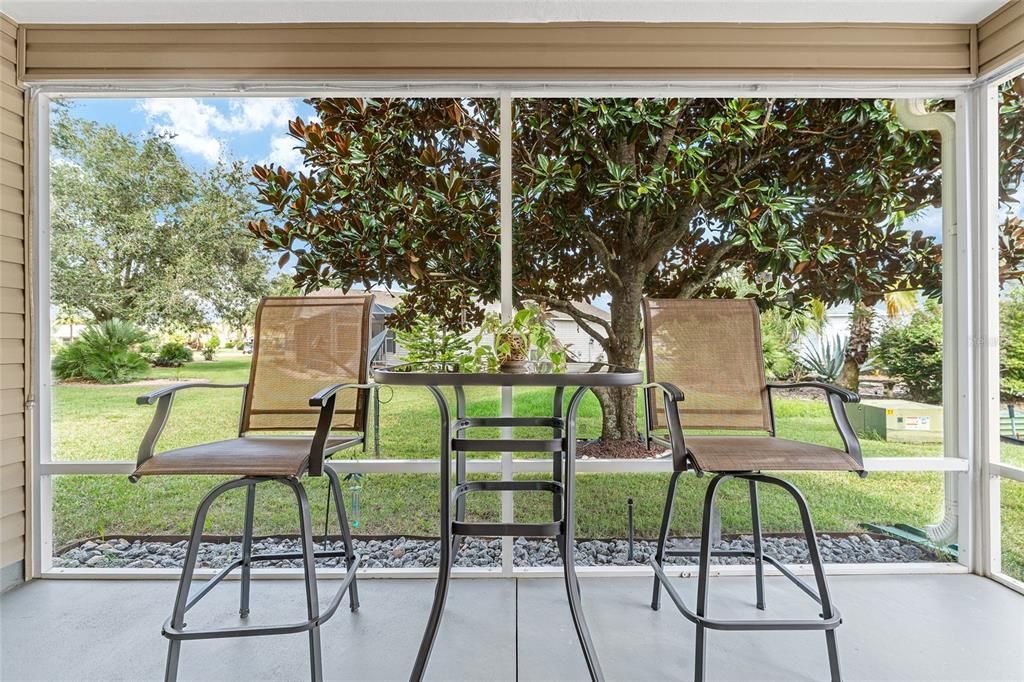 SCREEN ENCLOSED LANAI - Note the large Magnolia Tree that provides shade & rear privacy