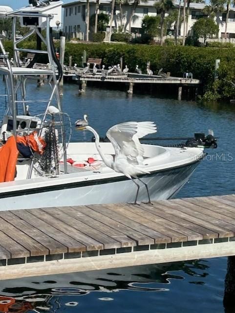 Public Boat Ramp Dock Area