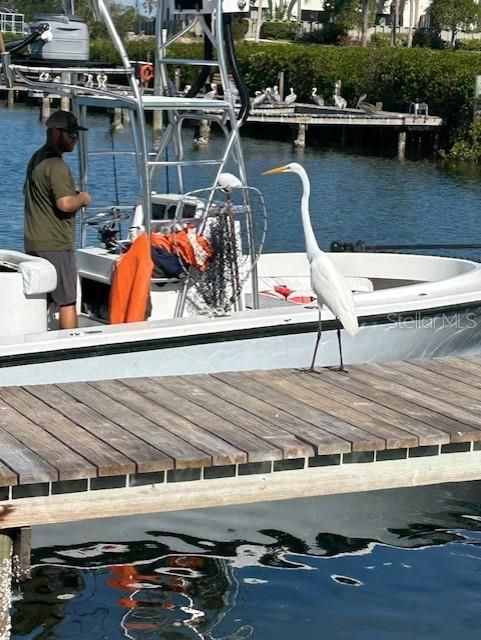 Public Boat Ramp Dock Area