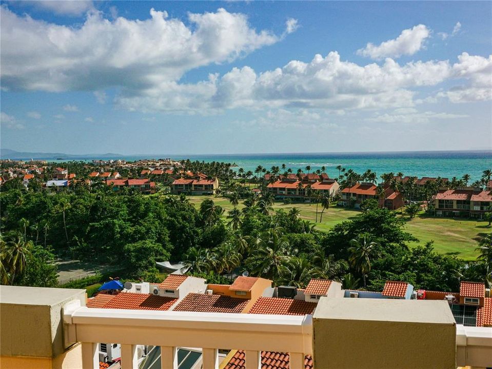 View from the top floor's patio