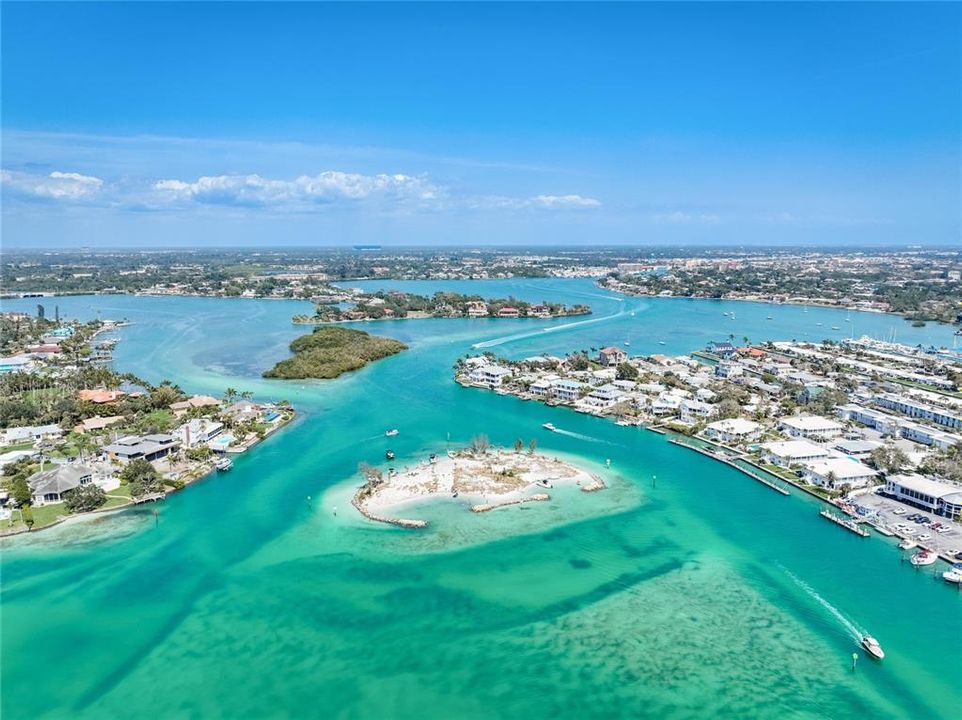 Snake Island in Venice