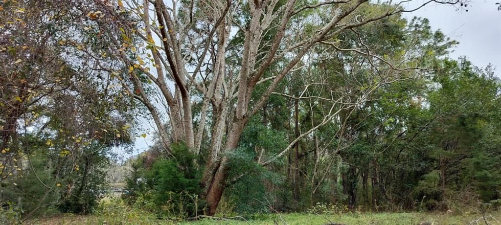 На продажу: $40,000 (0.89 acres)