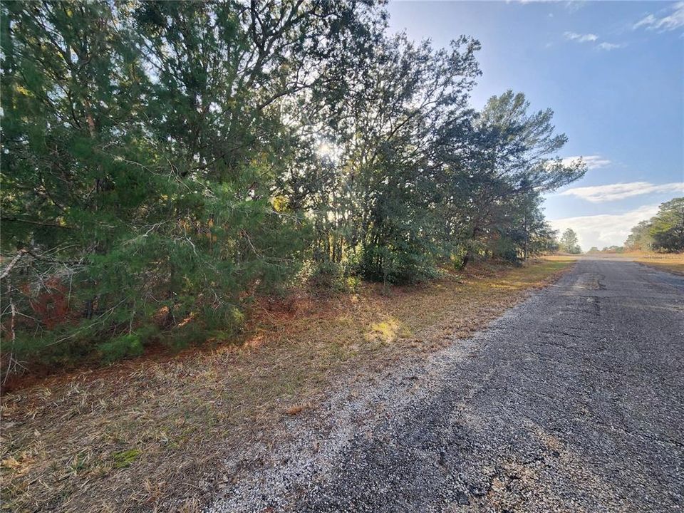 For Sale: $25,000 (0.26 acres)