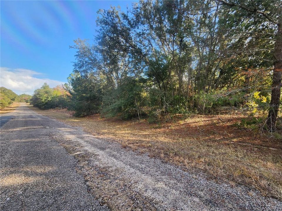 For Sale: $25,000 (0.26 acres)