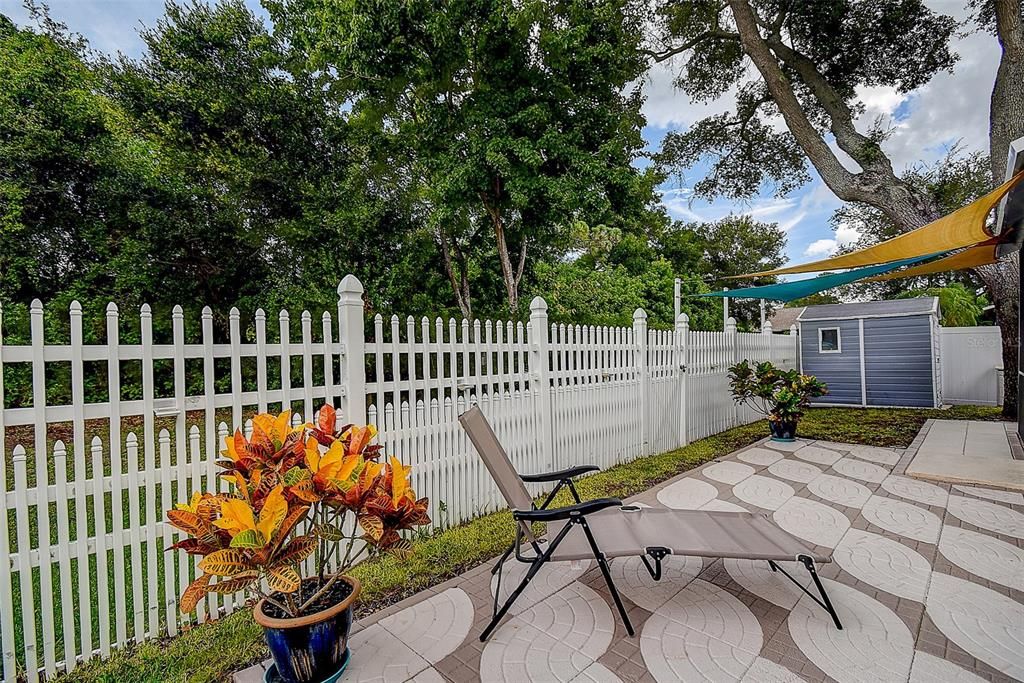 Patio & Backyard