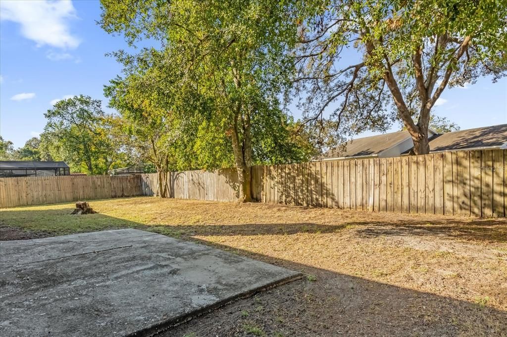 Fenced Backyard