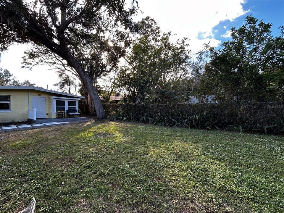 Rear Yard and entry Door