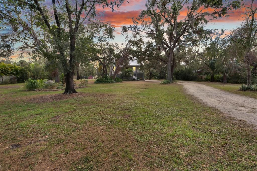 Front Driveway