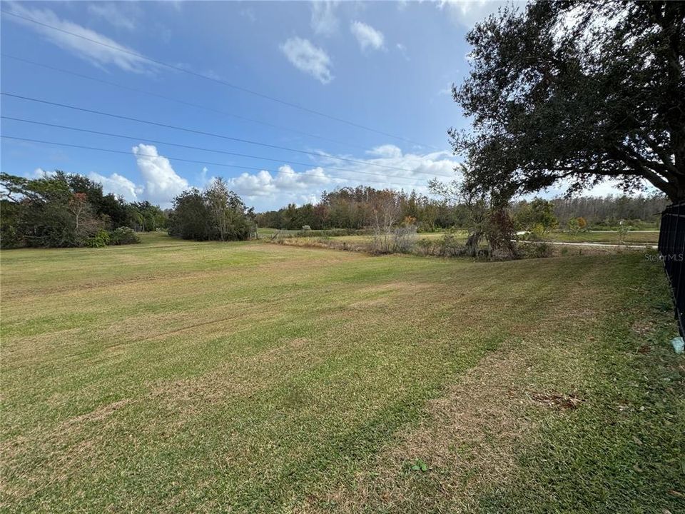 Open Field on Side of House