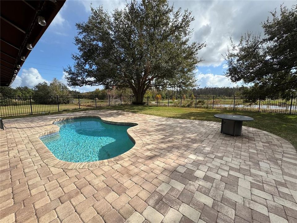 Swimming Pool and Backyard