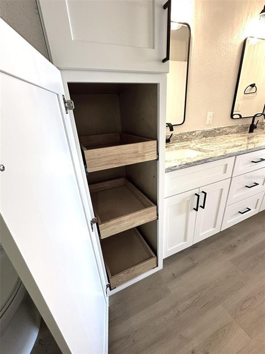 Soft-close roll out in pantry storage - primary bathroom