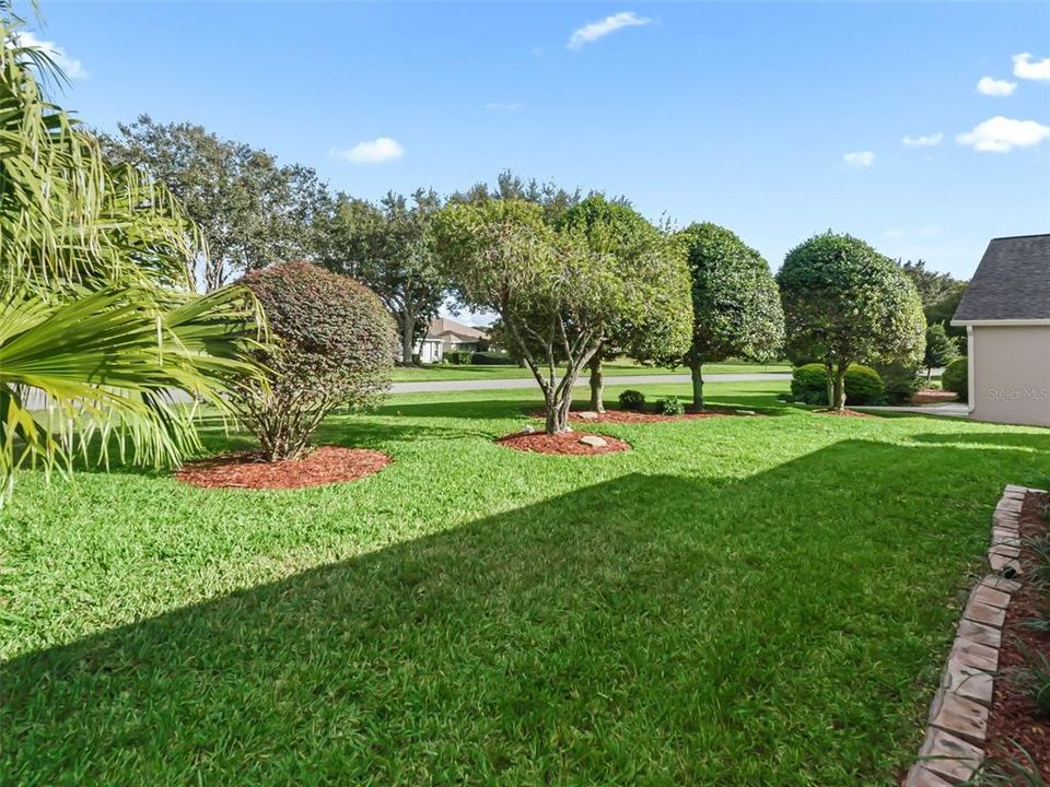 Backyard w/Privacy Landscape!