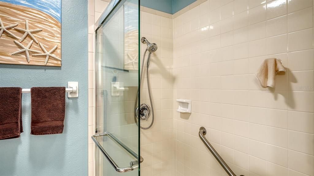 Master Bathroom Shower