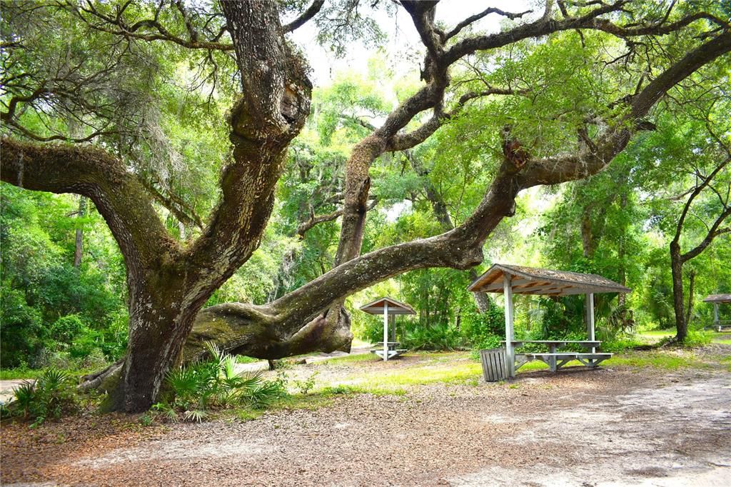 Public park / boat ramp near by