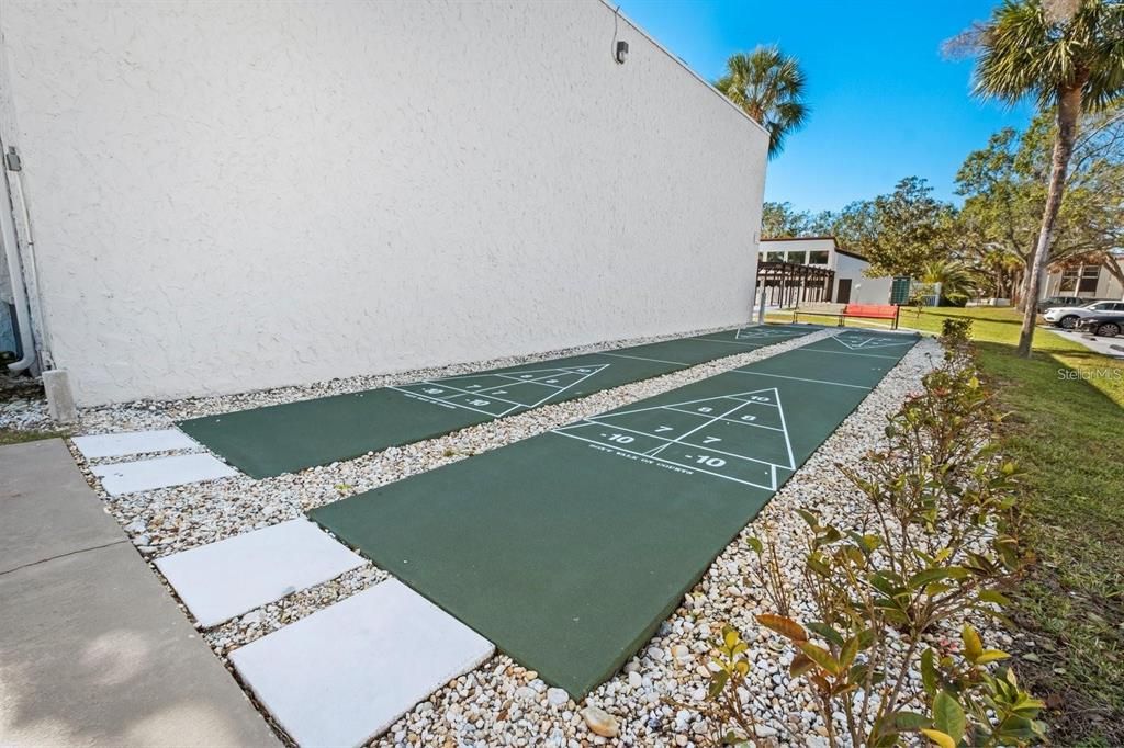 Shuffleboard