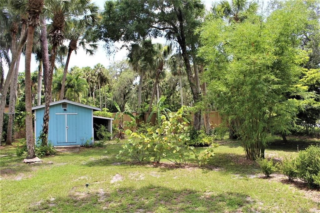 Storage Shed