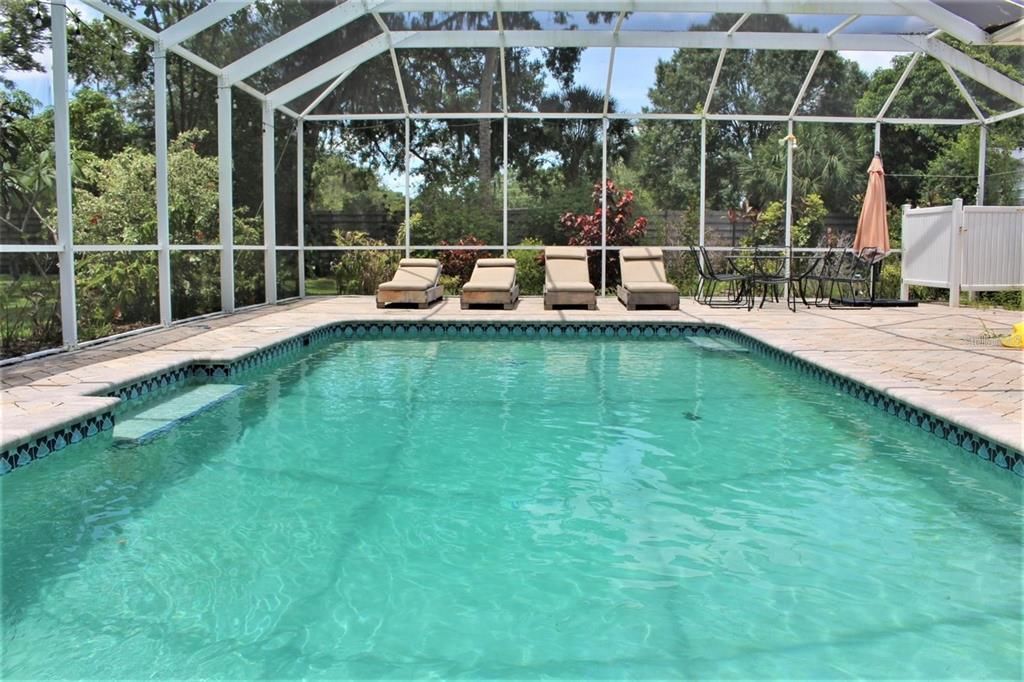 Caged pool with Paver deck