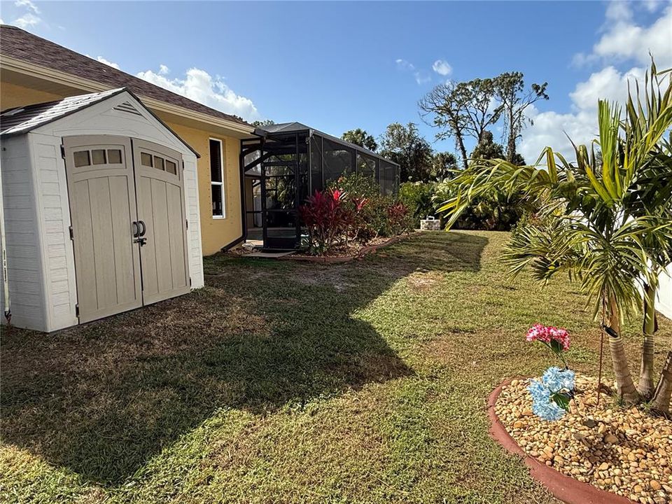 Storage shed and back yard