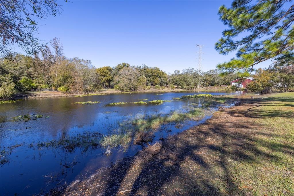 Beautiful large lake in backyard