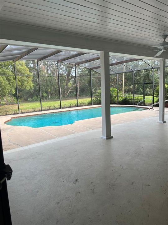 Sparkling pool 30'x16' with a new salt water system. Big enough for the entire family, plus large screened and covered porch, 44'x10'.