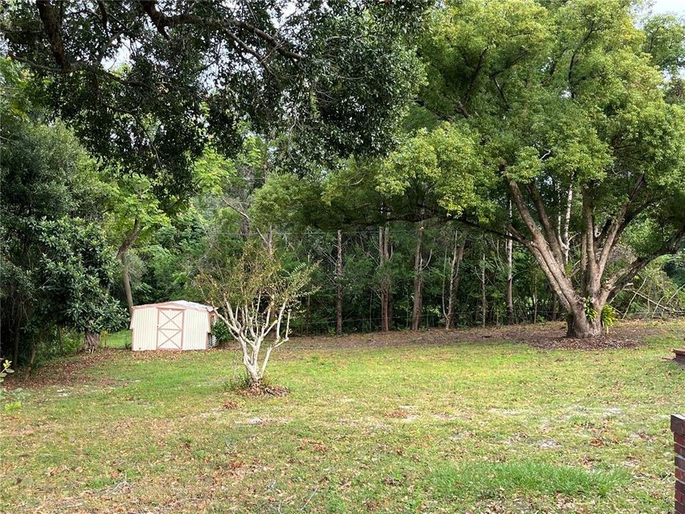 Good little shed in back yard for mower and yard tools... or whatever you like!