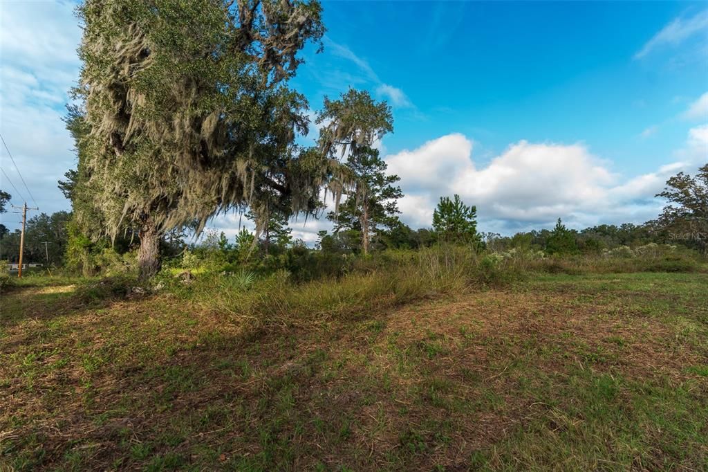 For Sale: $132,000 (13.20 acres)