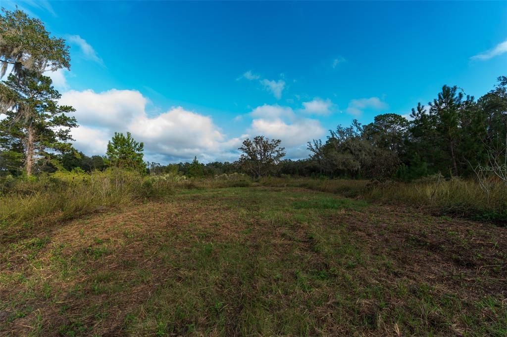 For Sale: $132,000 (13.20 acres)