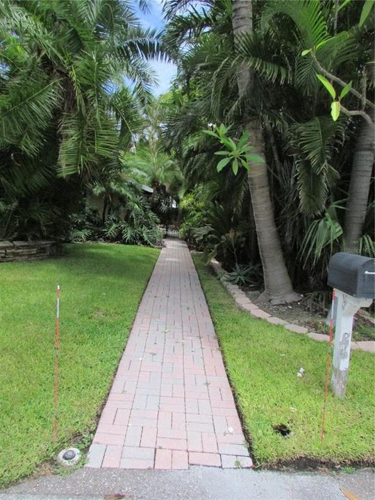 Walkway to front door.