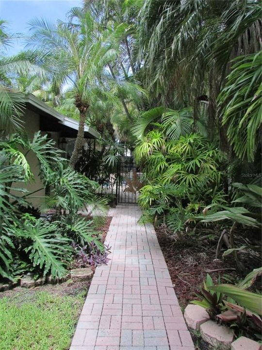 Walkway to front door.