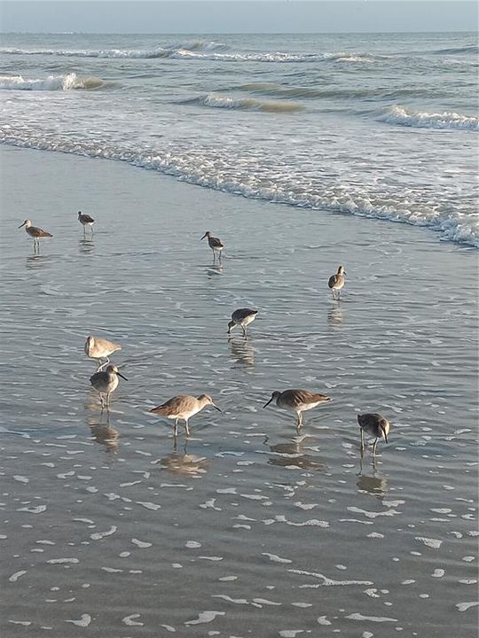 Beach access area.