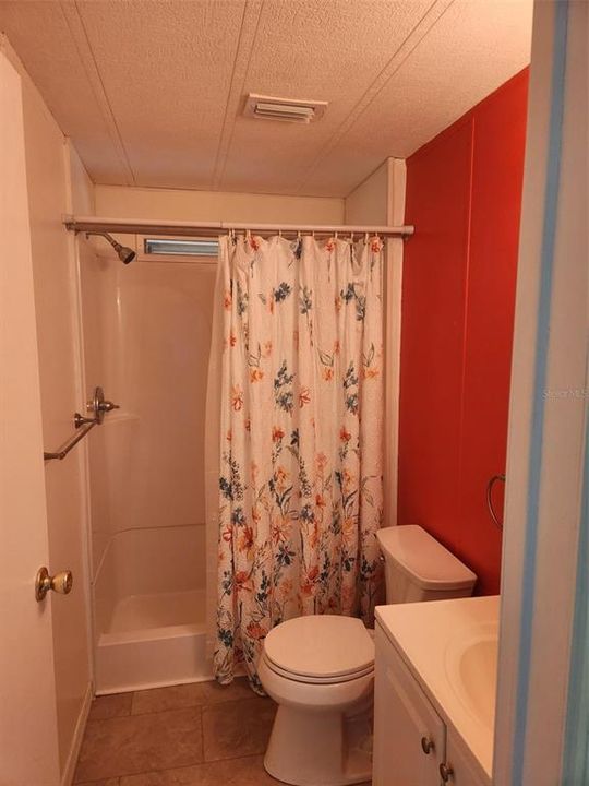 Guest bath, shower no tub