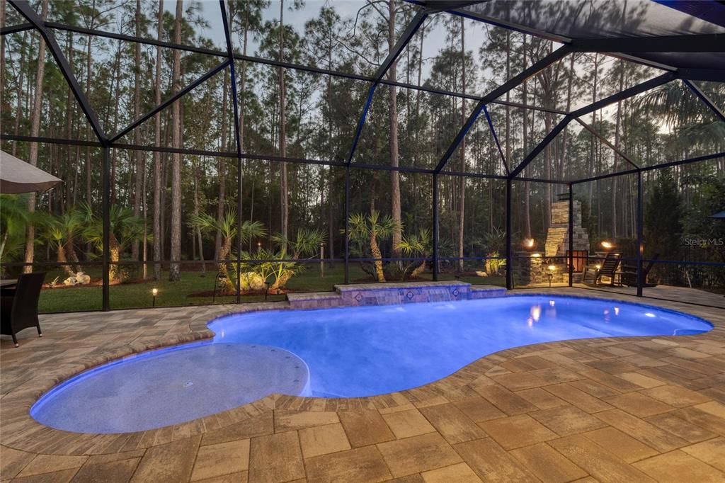 Incredible pool area and large lanai!